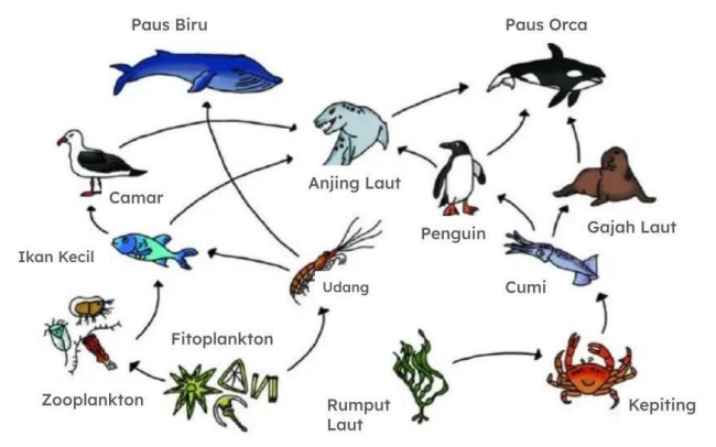 contoh soal tka biologi keanekaragaman hayati