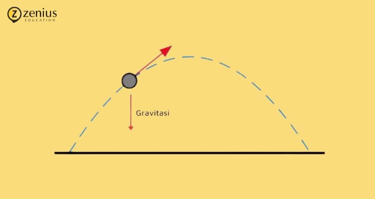 Bola yang melambung terpengaruh tarikan gravitasi Zenius Education