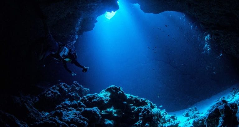 Contoh zona abisal adalah palung laut dan ikan anglerfish