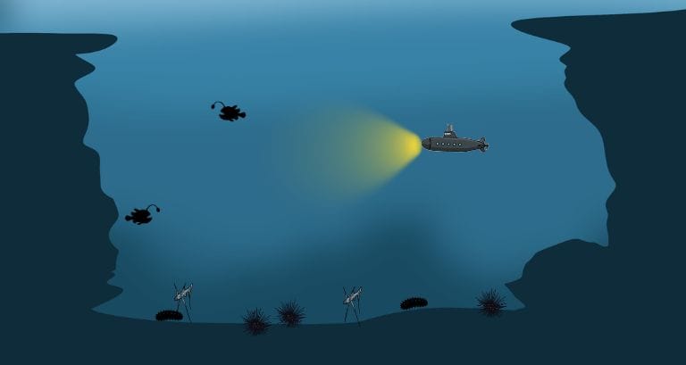 gambaran zona abisal di laut dalam