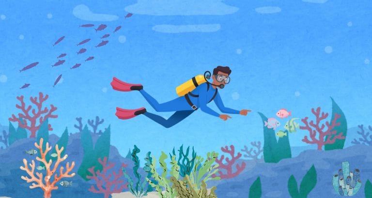 zona neritik merupakan zona laut yang bisa dijadikan tempat snorkeling