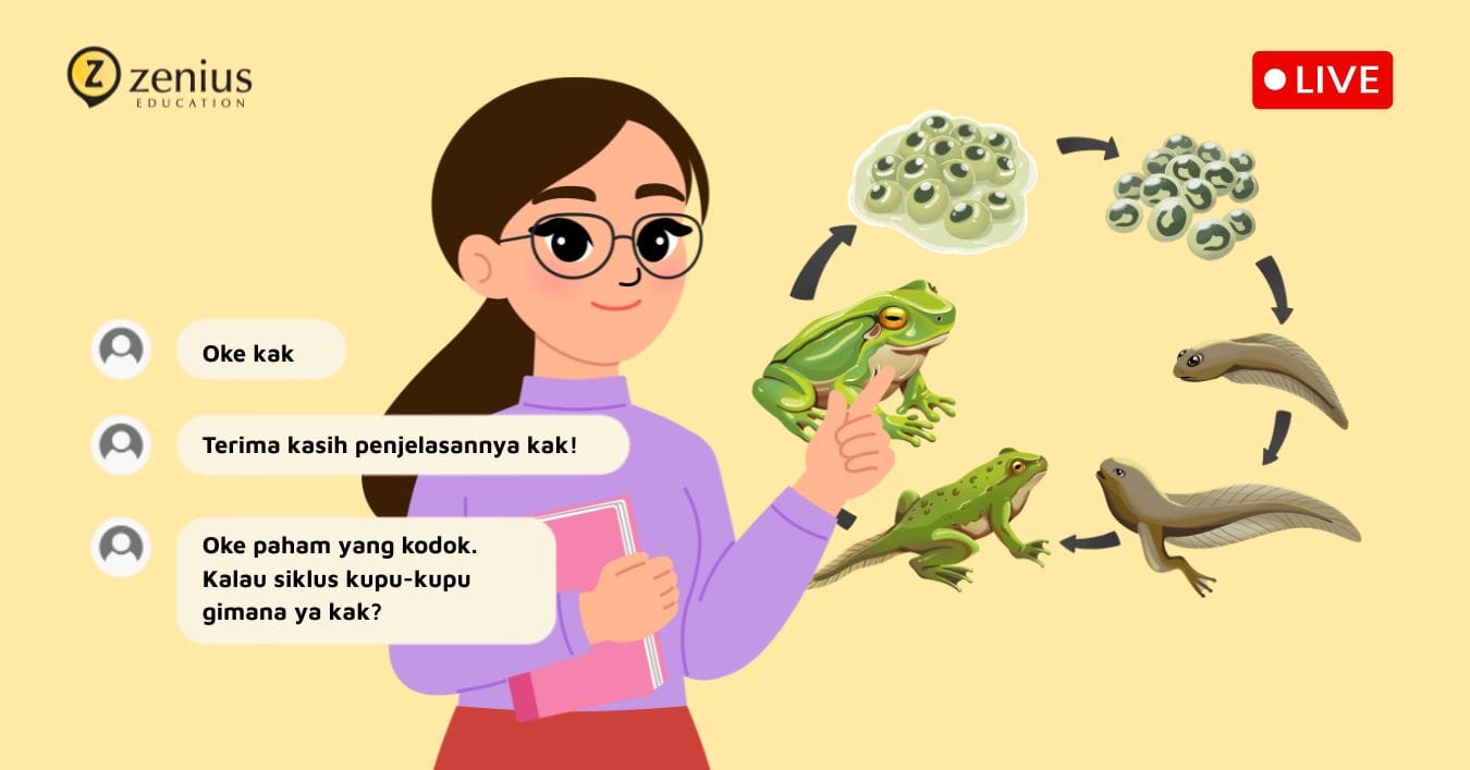 ilustrasi interaksi siswa dan tutor di Live Class Zenius