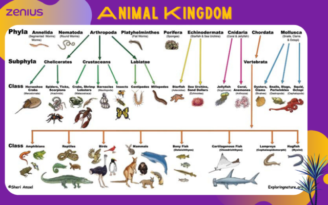 Contoh analisis klaster hirarki pendekatan divisif